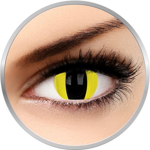 Lentile de contact Fancy Cheetara – lentile de contact colorate galbene pisica anuale 17 mm – 360 purtari (2 lentile/cutie) marca Phantasee cu comanda online
