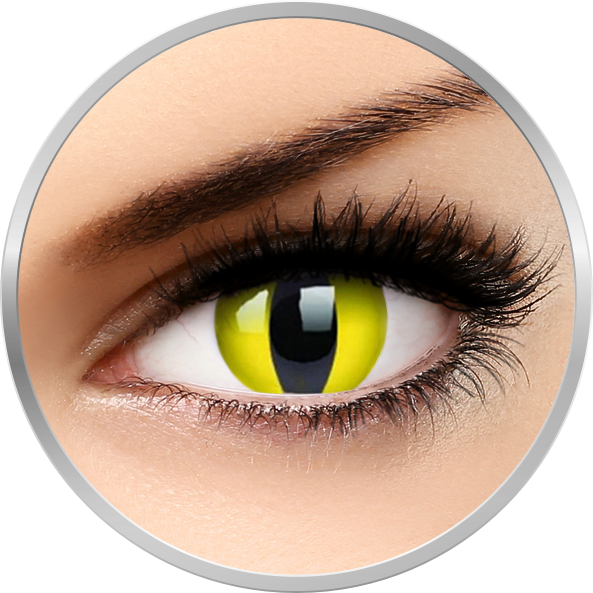 Lentile de contact Fancy Yellow Cat – lentile de contact colorate galbene anuale – 360 purtari (2 lentile/cutie) marca Phantasee cu comanda online